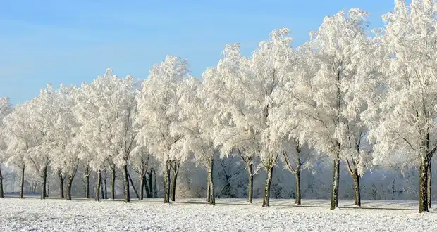 14 февраля