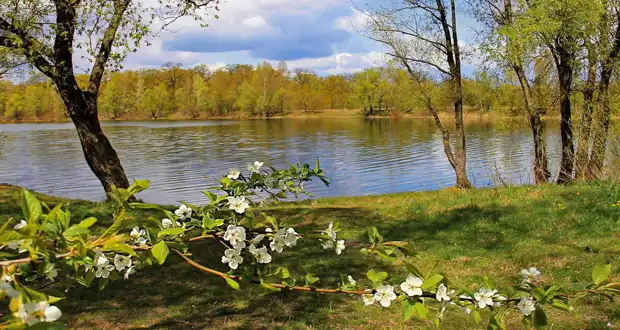 image-620-330-14-aprelya 14 апреля