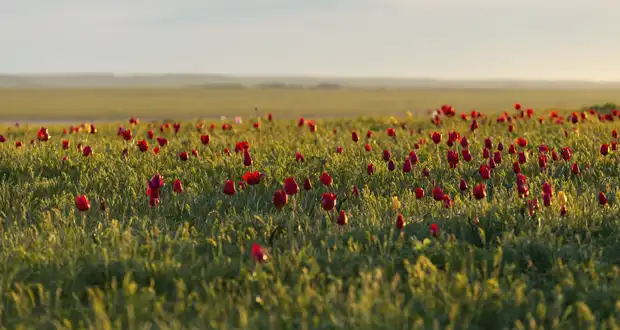 image-620-330-26-aprelya 26 апреля
