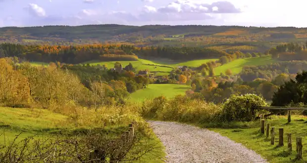 image-620-330-14-sentyabrya 14 сентября