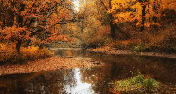 image-620-330-27-sentyabrya 27 сентября