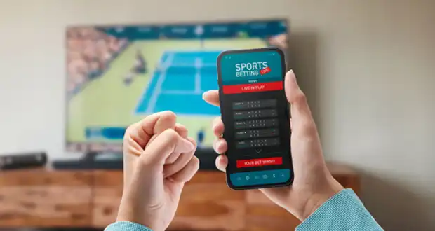 Выбираем букмекерский сайт: на что обратить внимание